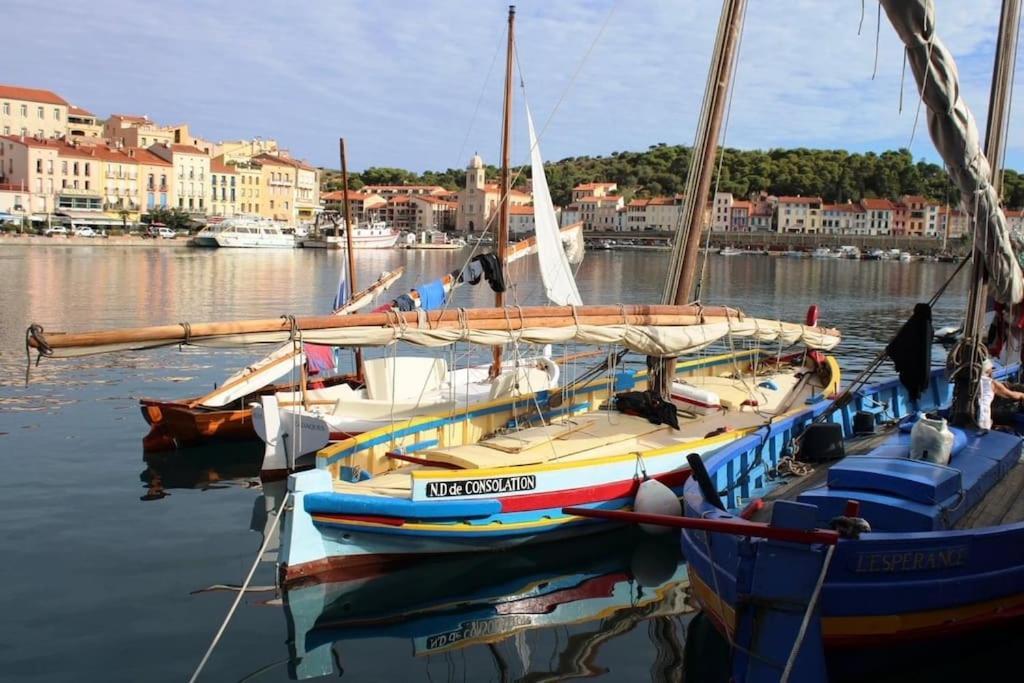 포르방드르 Studio Bon Dia/Balcon/Proche Criques Et Collioure 아파트 외부 사진