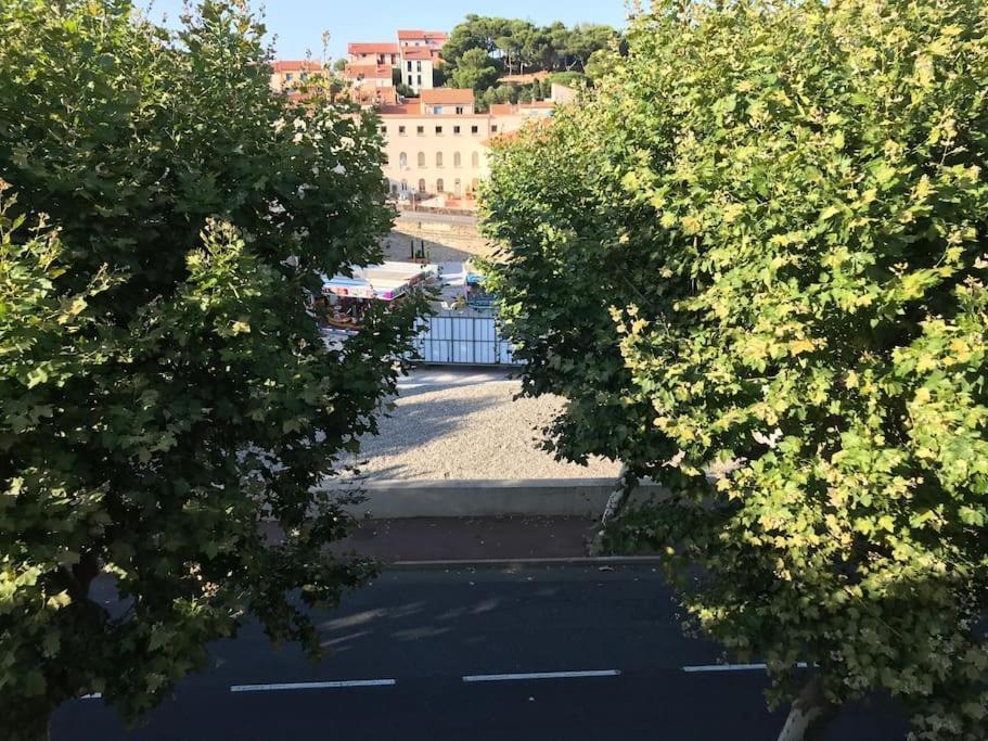 포르방드르 Studio Bon Dia/Balcon/Proche Criques Et Collioure 아파트 외부 사진