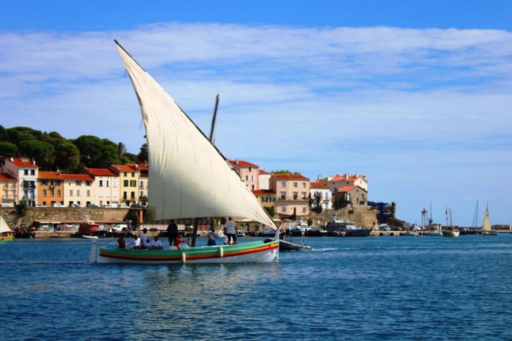 포르방드르 Studio Bon Dia/Balcon/Proche Criques Et Collioure 아파트 외부 사진