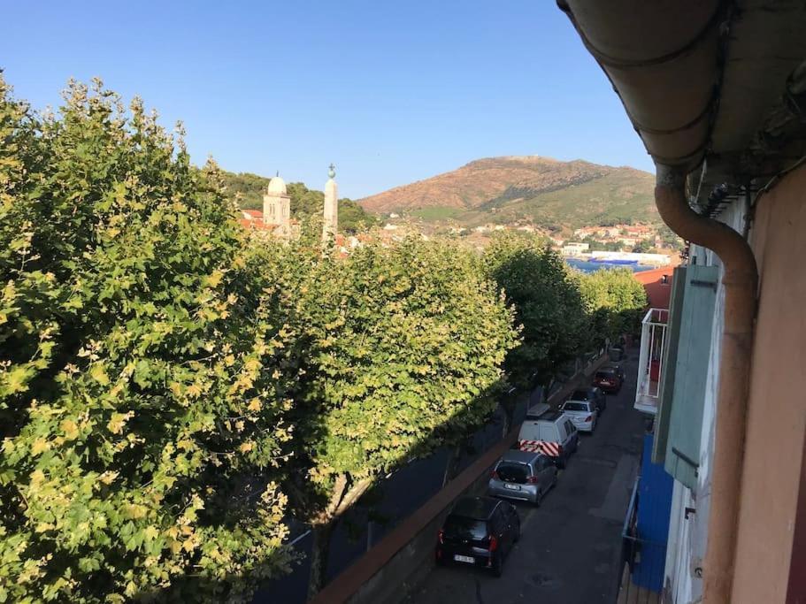 포르방드르 Studio Bon Dia/Balcon/Proche Criques Et Collioure 아파트 외부 사진
